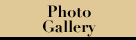 Photo Gallery